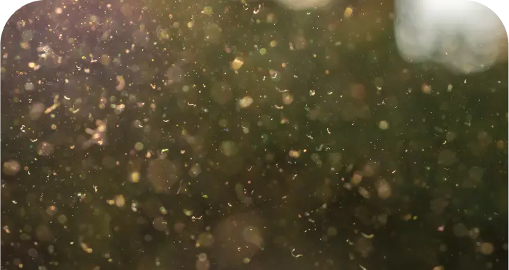 S4